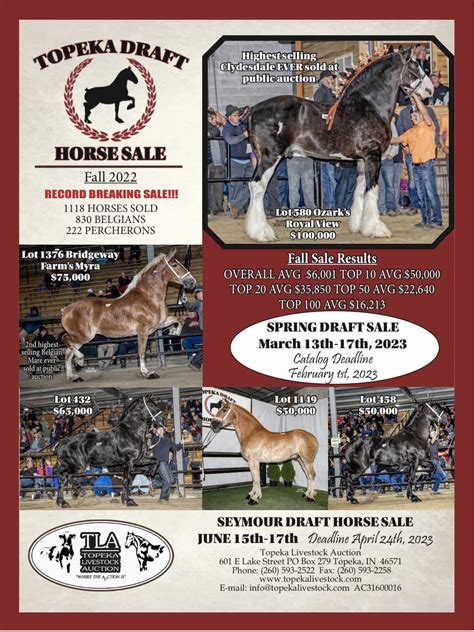 All Star Farms - Belle View. . Topeka draft horse sale 2022 catalog